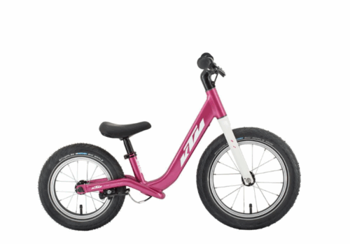 KTM Wild Buddy 12